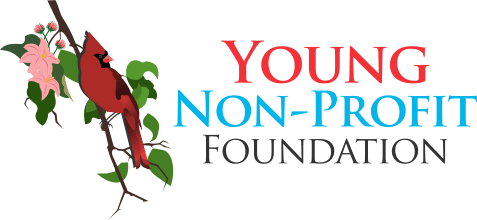 Young Nonprofit Foundation 